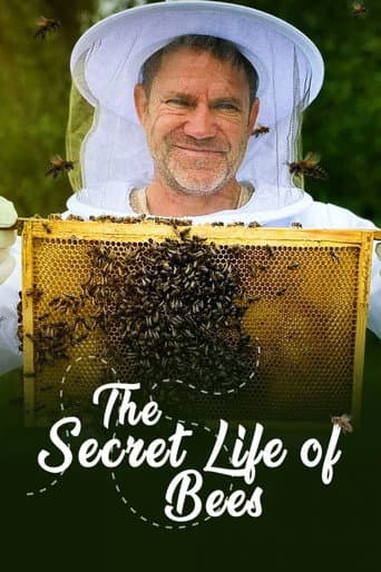 The Secret Life of Bees poster
