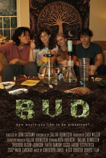 BUD poster