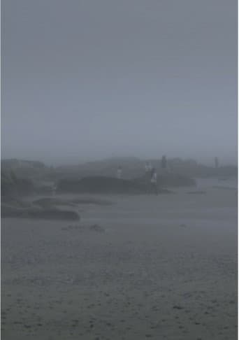 The Fog Has Covered The Moment Again poster