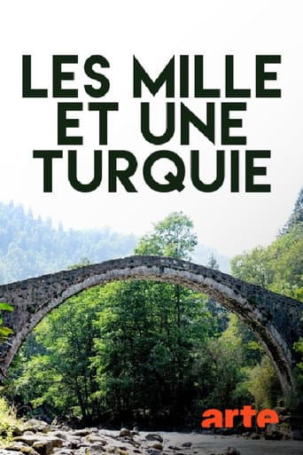 Abenteuer Türkei poster