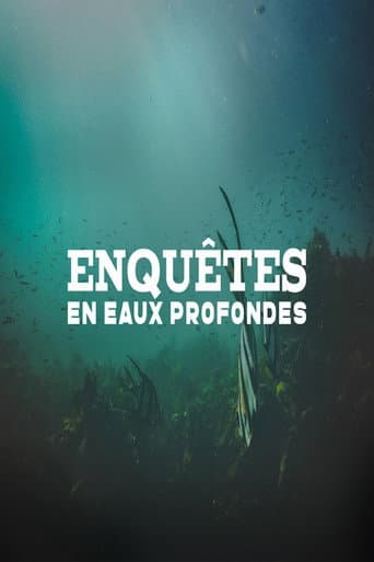 Enquêtes en eaux profondes poster