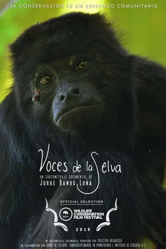 Rainforest Voices poster