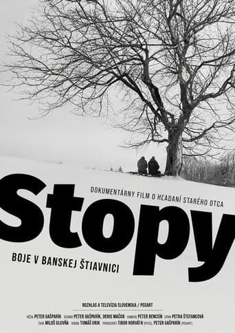 Footprints: Fighting in Banská Štiavnica poster