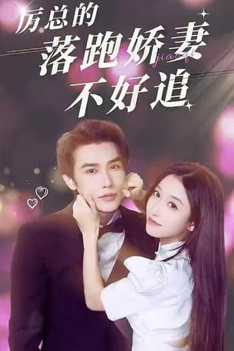 Li Yan's Wife Is Not Easy to Chase poster