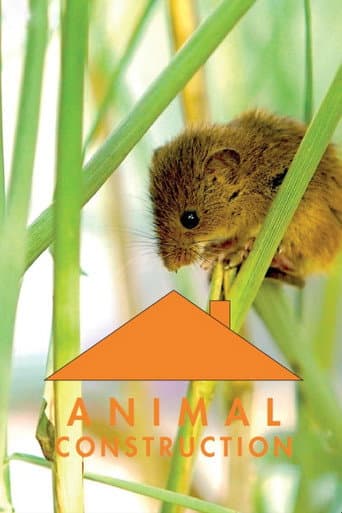 Animal Construction poster