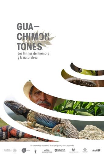 Guachimontones, los límites del hombre y la naturaleza. poster