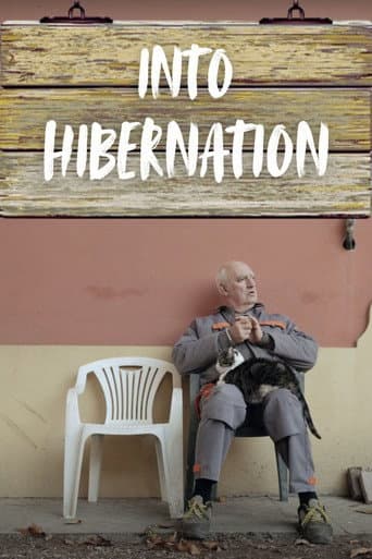 Into Hibernation poster