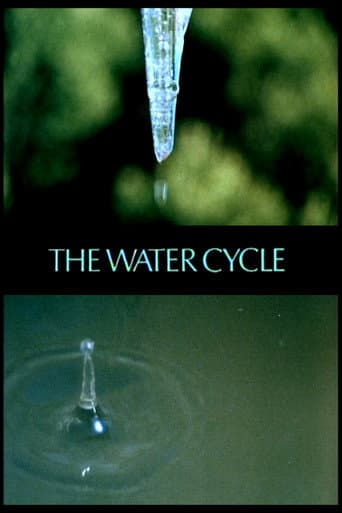 The Water Cycle poster