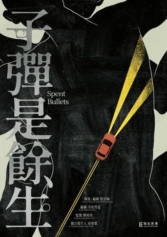 Spent Bullets poster
