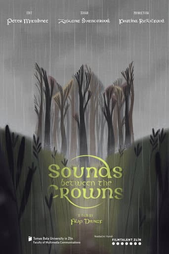 Sounds Between the Crowns poster