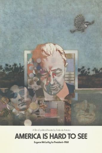 America Is Hard to See poster