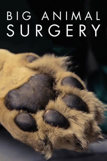Big Animal Surgery poster