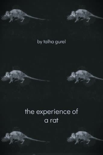 The Experience of a Rat poster