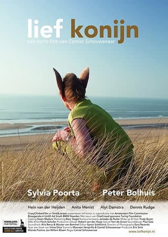 Sweet Rabbit poster