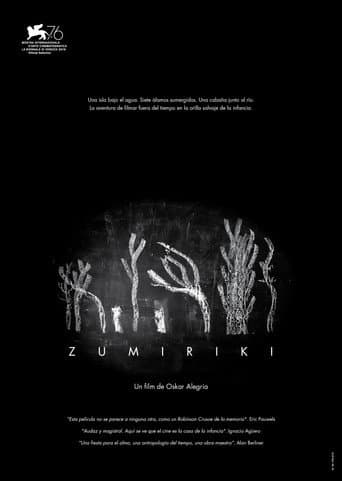 Zumiriki poster
