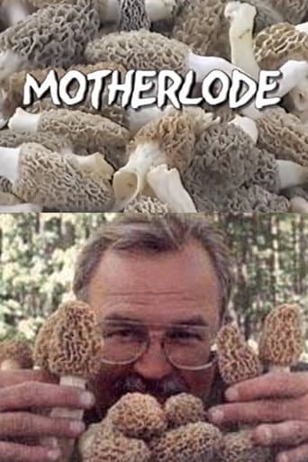 Motherlode poster