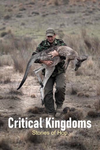 Critical Kingdoms - Stories of Hope poster