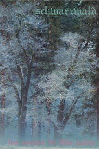 Schwarzwald poster