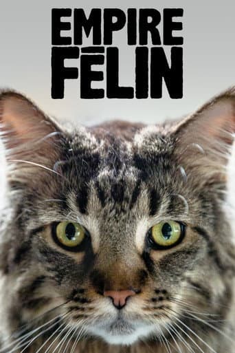 Cat Empire poster