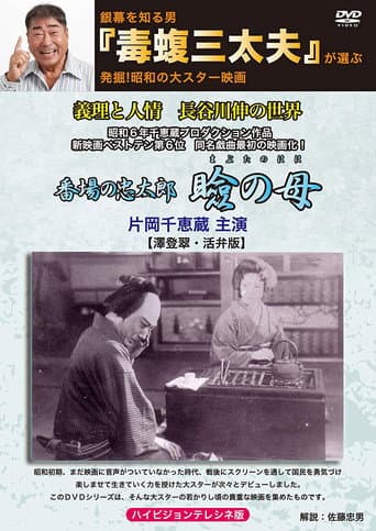In Search of Mother poster