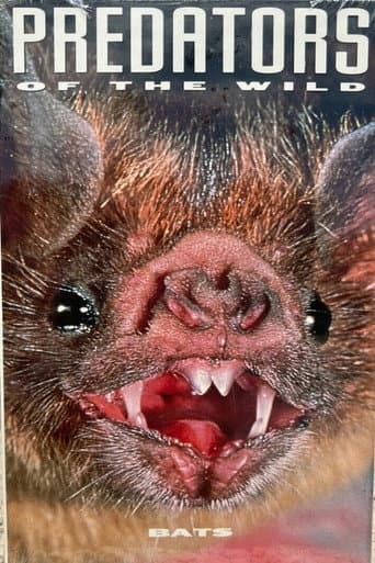 Predators of the Wild: Bats poster