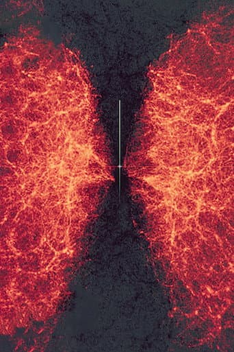 data-verse 1 poster