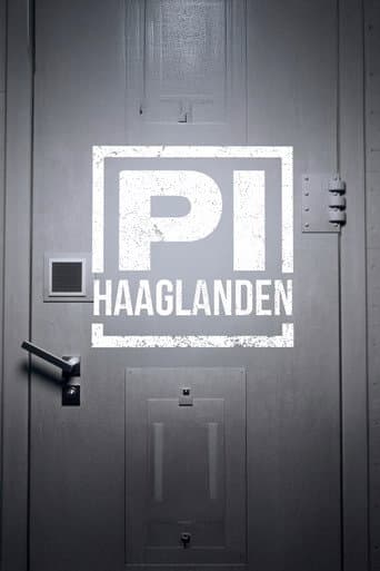 P.I. Haaglanden poster