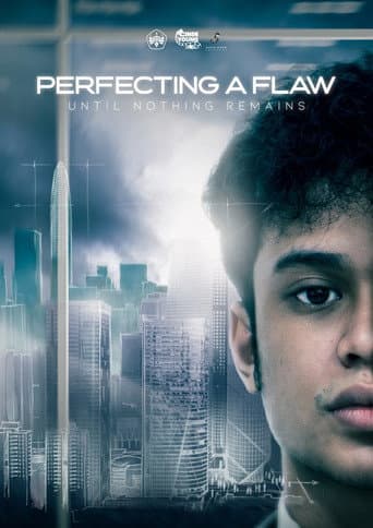 Perfecting A Flaw Until Nothing Remains poster