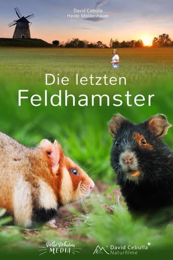 The Last Common Hamsters poster