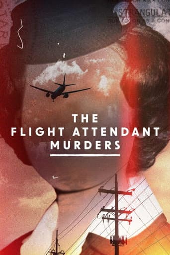 The Flight Attendant Murders poster