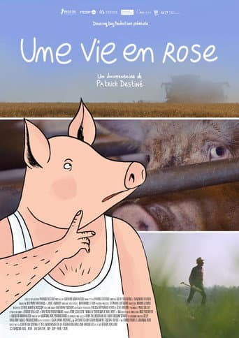 Une vie en rose poster
