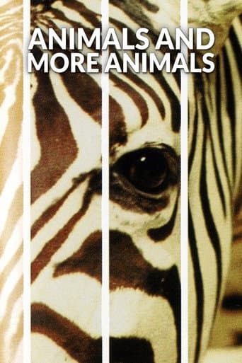 Animals and More Animals poster