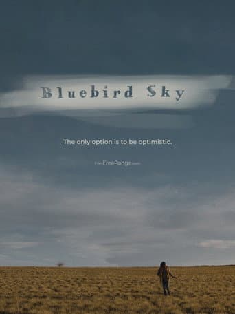 Bluebird Sky poster