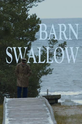 Barn Swallow poster