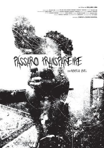 Pássaro Transparente poster