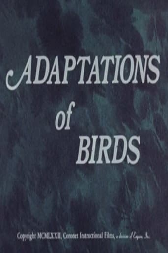 Adaptations of Birds poster