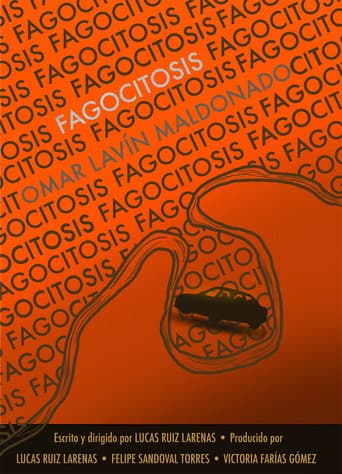 Fagocitosis poster