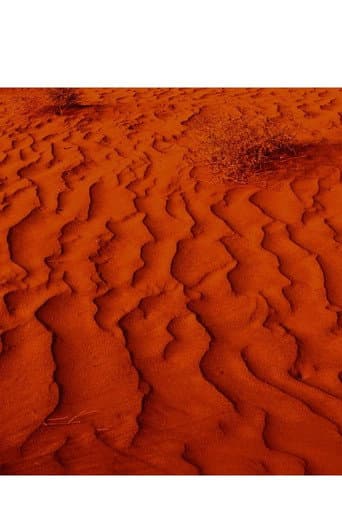Exile & Desertification poster
