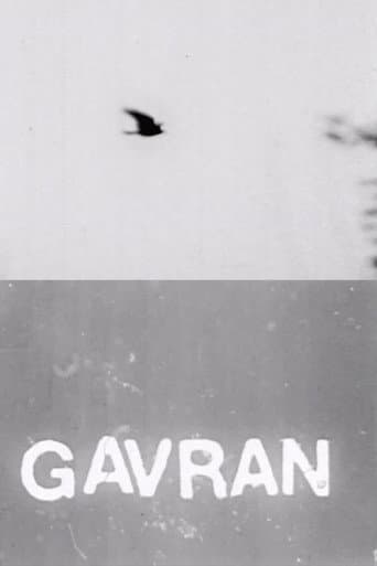 The Raven poster