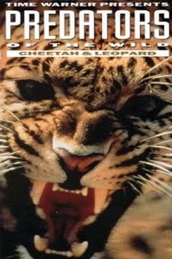 Predators of the Wild: Cheetah and Leopard poster