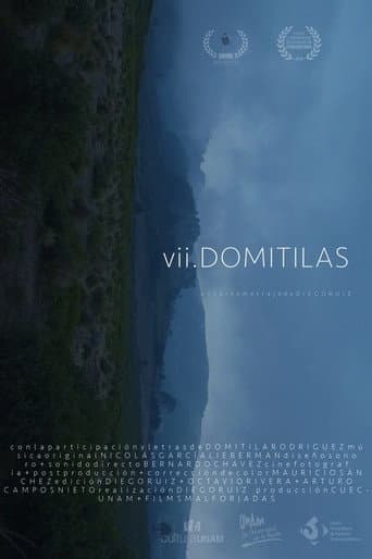VII Domitilas poster