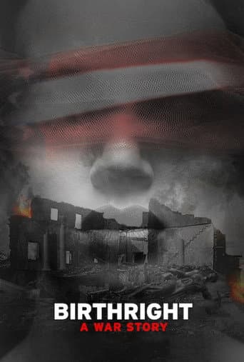 Birthright: A War Story poster