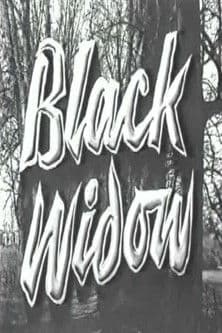 Black Widow poster