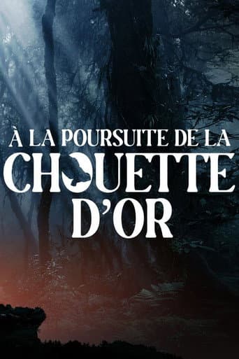 À la poursuite de la chouette d'or poster