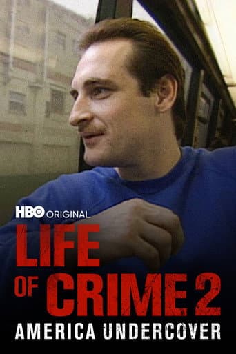 Life of Crime 2 poster
