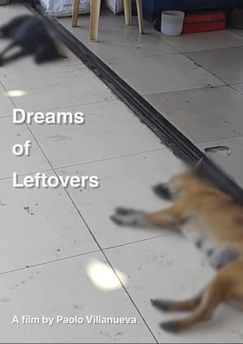 Dreams of Leftovers poster