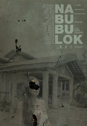 The Decaying poster