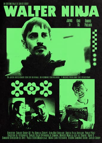 Walter Ninja poster