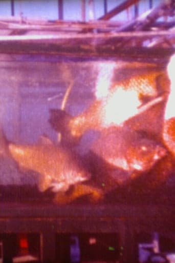 Schätze aus dem Meer - Unentbehrlicher Fisch poster