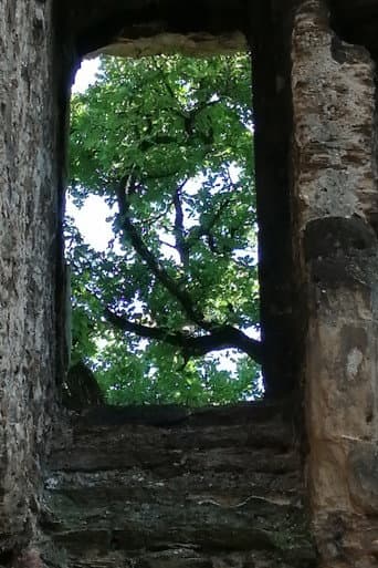 The Ruins of Seyssuel's Castle poster